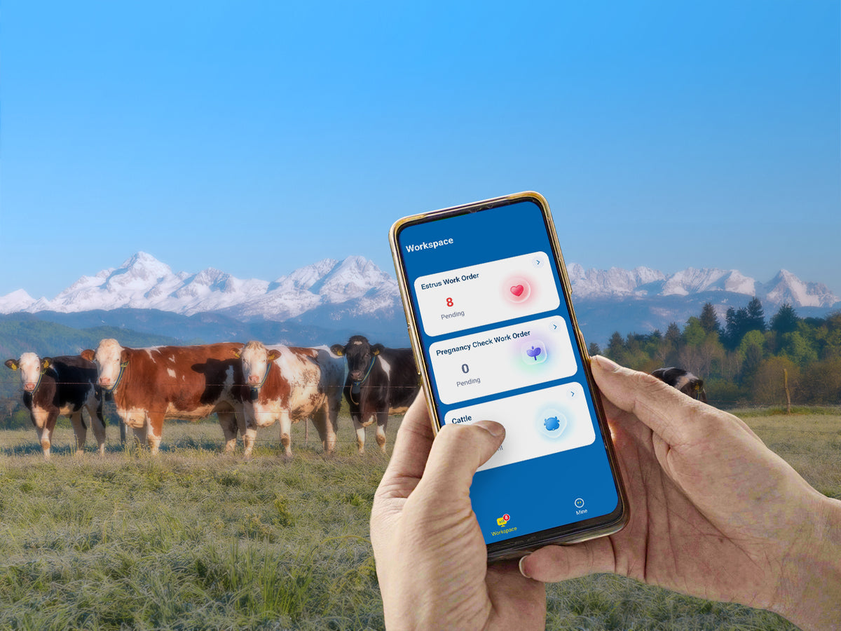 MooCollar Bree herd monitoring on mobile devices