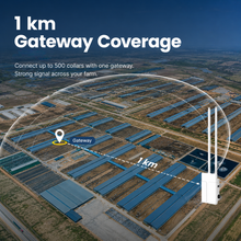 MooCollar Bree cow monitoring collar with 1 km gateway coverage