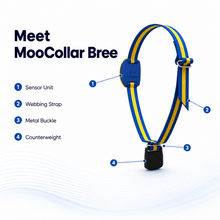 MooCollar Bree cow monitoring collar components and product structure