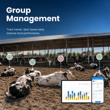 MooCollar Bree group management and herd monitoring