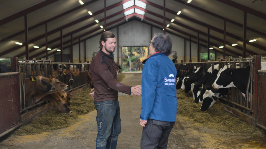 From Health Alerts to Healthier Cows: How Sweden’s First Nimbo X Changed Daily Feeding