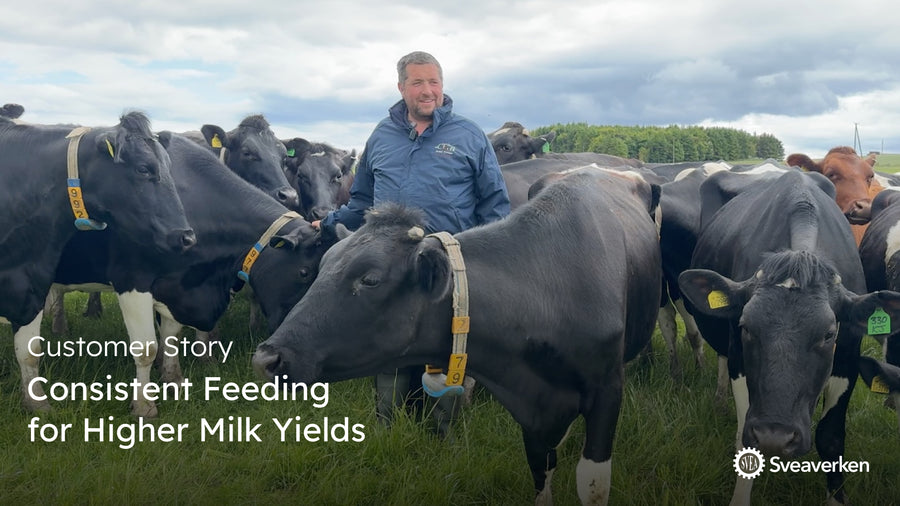 Consistent Feeding for Higher Milk Yields: A Scottish Dairy Farm's Success Story