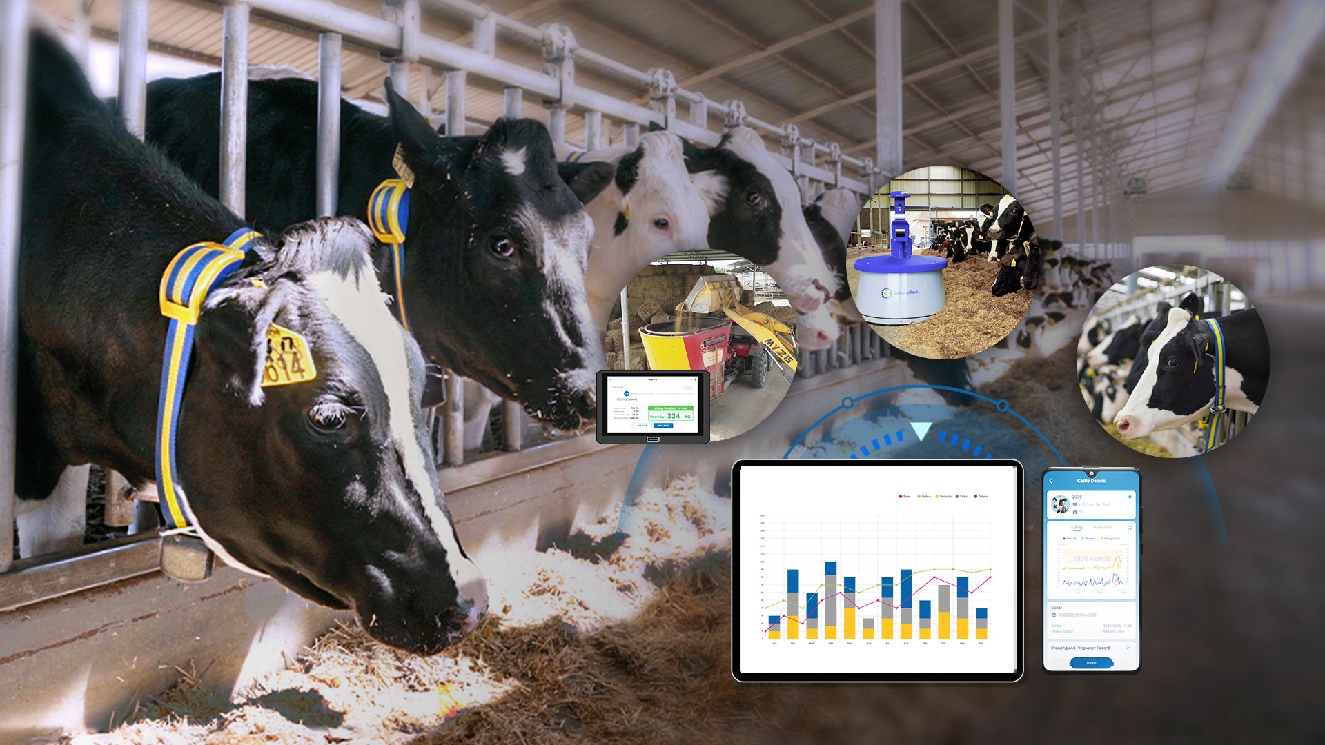 DairyMind dashboard with connected herd and feeding data